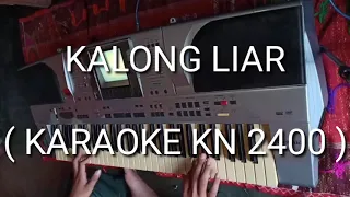 Download KALONG LIAR - KARAOKE DANGDUT ( KN 24 ) BENGKULU CHANNEL !! MP3