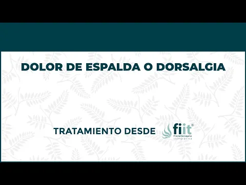 Dolor de Espalda o Dorsalgia. Tratamiento de Fisioterapia - FisioClinics Barcelona, Barna