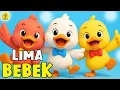 Lagu Lagu Anak Anak - Lima Bebek Kecil Berenang - Lagu Anak \u0026 Balita Terbaru Sangat Viral Terpopuler