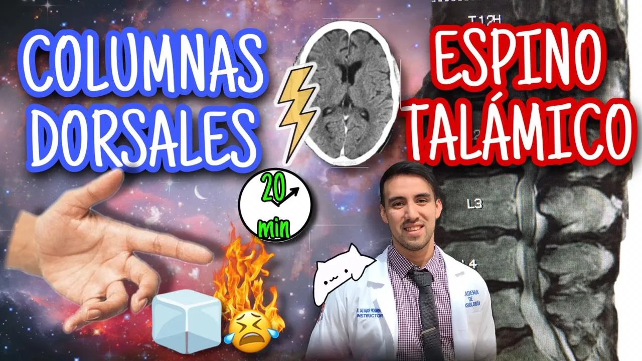 ¡VÍAS SENSITIVAS! RESUMEN PARA ESTUDIANTES