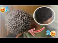 How To Get Curls For Short 4C Hair FAST Black Men