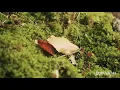 Arutani - Caroline (Original Mix) Snippet