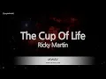 Download Lagu Ricky Martin-The Cup Of Life (Karaoke Version)