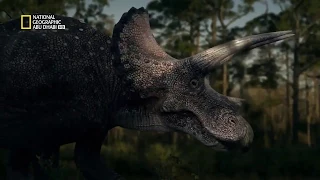 الديناصورات ناشونال جغرفيك 