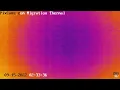 Fall Migration 2022 Thermal Camera - 2022 2 33 AM