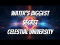 Alkaline Water Exposed - Esoteric Energy