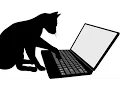 How To Use the Cat Command In Linux