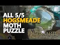 All Hogsmeade Moth Mirror Frame Puzzle Hogwarts Legacy