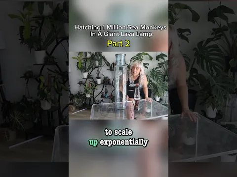 I Hatched 1 Million Sea Monkeys In A Giant Lava Lamp 😳 Part 2 #seamonkeys #brineshrimp #lavalamp