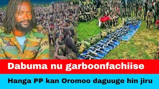 Jaal Marroon PP Akeekkachiise 