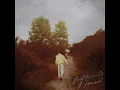 Look back and laugh ( speed up version )-David Kushner