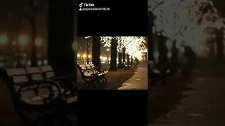 انا مرات مصطفي هو مجاش هني ده ختفا 