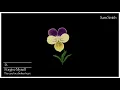Sam Smith - Forgive Myself (Audio)