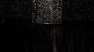 المطر Rain Quran Allah Islam Subscribe Like Shorts Share Short Youtubeshorts Support 