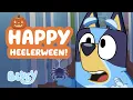 Download Lagu Happy Heelerween! 🎃 💙 | 30 MINUTES of Spooky Fun and Games 👻 | Bluey