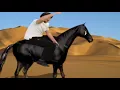 One Man One Horse
