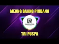 Lagu DJ MEONG BAANG PINDANG | TRI PUSPA | RAHAYOU PRO