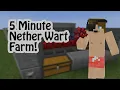 5 minute Nether Wart Farm 1 17 JAVA Bedrock