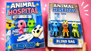 ⭐️Paper Diy⭐️ANIMAL HOSPITAL LARGE Blind box |ASMR 