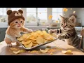 Stray Kitten Secretly Makes Cheesy Potato Snacks — Hides and Eats Alone So Mama Cat Won’t Find Out🥔🧀