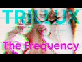 Trillux - The Frequency (Original Mix)