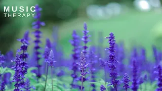 מוזיקה מרגיעה לבוקר להגברת הריכוז בלימודים וקריאה מנגינה מרגיעה ומעודדת מוזיקה מעודדת פעילות 