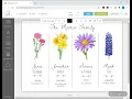How to Edit the Birth Flower Digital Print