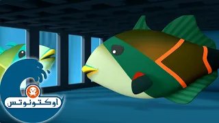 أوكتونوتس السلامة في أرقام رسوم متحركة للأطفا 