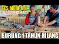 Download Lagu EDAN MERPATI SI EMBAK INI TETEP TURUN DI ATAS KEPALA