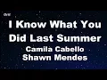 Lagu I Know What You Did Last Summer - Shawn Mendes \u0026 Camila Cabello Karaoke 【With Guide Melody】
