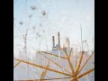 Wildflower Wood - The Seven Fields Of Aphelion