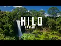 Hilo Hawaii Bucket List That Actually Works