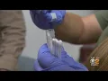 Flu or COVID-19 Experts Say Incubation Period Key Symptoms Will Help Tell The Difference