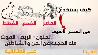 إستخدام الحيوانات في السحر الأسود الجزء 1 العالم الآخر 