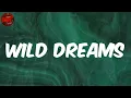 Download Lagu Burna Boy - Wild Dreams (Lyrics)