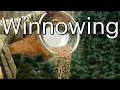Winnowing - How to Clean You Seeds