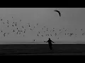 akiaura, LONOWN, Sace - If You Care (Official Visualizer)