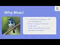 Review Session 1 Open Code Java Curriculum