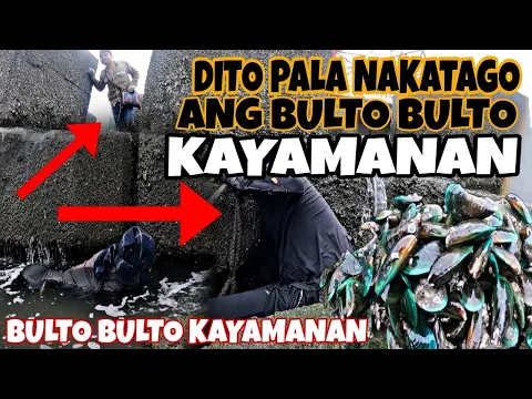 Download MP3 EP009-MGA KAYAMANAN NA DI PA NATUKLASAN NG IBANG TAO SA ILALIM NG LAGUSAN INDONESIA NAPASUGOD DAHIL