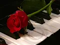 miranda lambert-bring me down.wmv