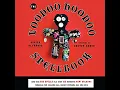 Voodoo Hoodoo Spellbook book by Denise Alvarado