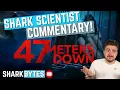 Watch 47 METERS DOWN with a Shark Scientist Movie commentary reaction