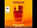 BATTERY OPERATED (Azzecca Remix) - Tigerblind