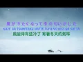 中島美嘉 ～雪の華 （歌詞版）