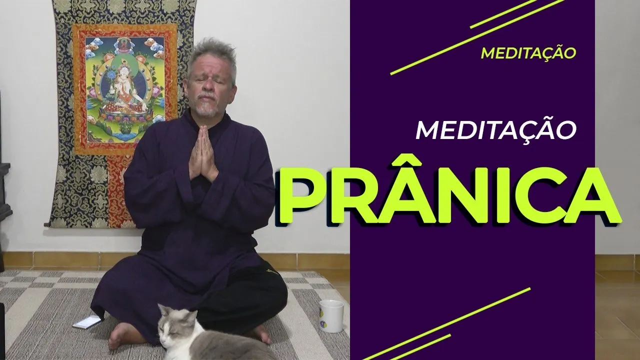 Meditação Prânica