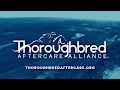 Gulfstream Park Replay Show February 22 2026