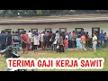Download Lagu SETELAH 1 BULAN BEKERJA DIPERKEBUNAN KELAPA SAWIT || WAKTUNYA TERIMA GAJI