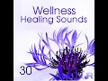Wellness and Massage Therapy
