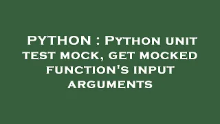 PYTHON Python unit test mock get mocked function s input arguments