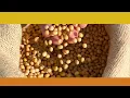 Cargill Elevate V4